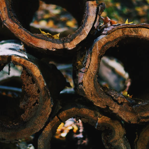 Une pile de bûches avec des trous, illustrant des mesures de prévention contre l'ocre.