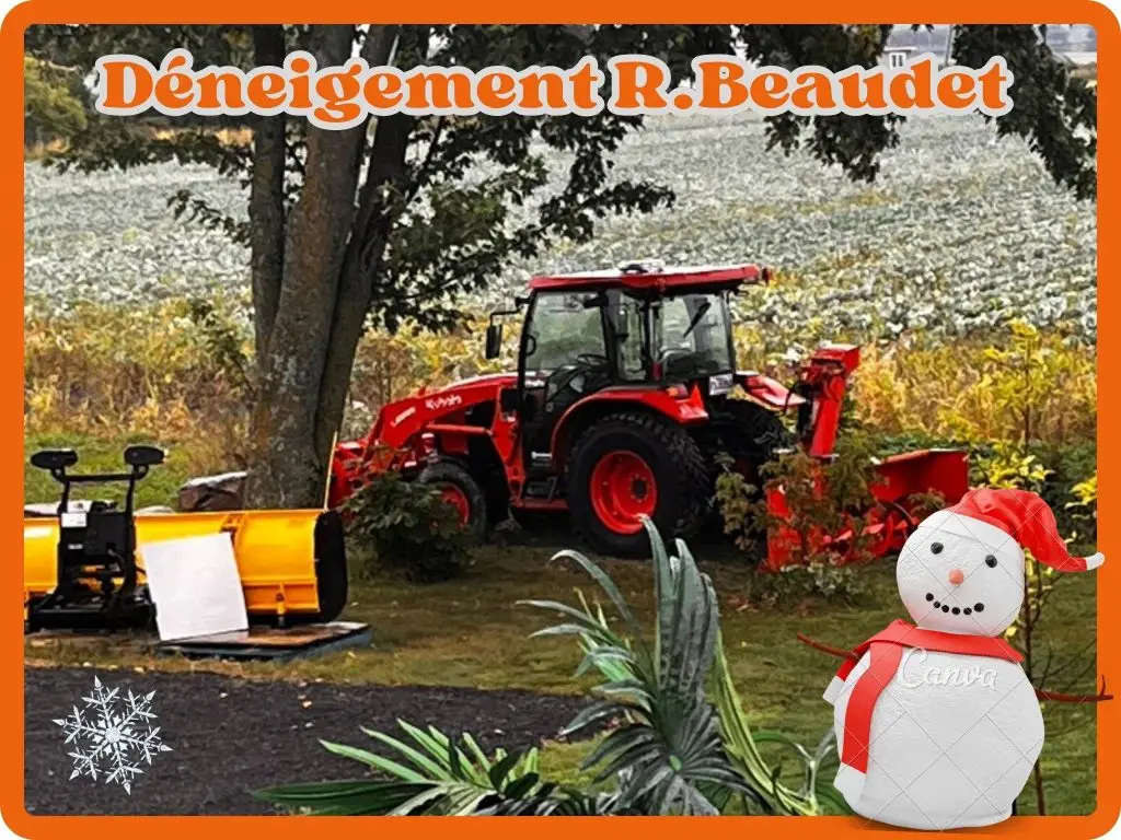 img-deneigement-secteur-la-plaines-3